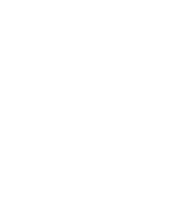 99 Plates Chef